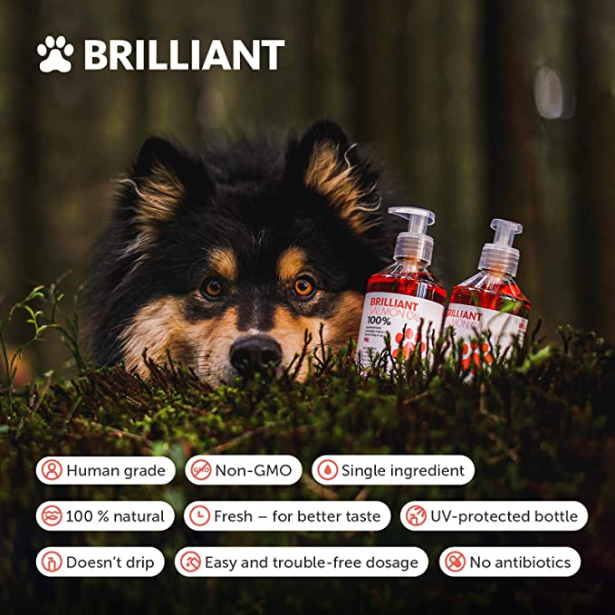 Brilliant Salmon Oil