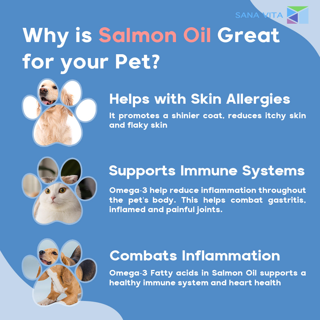 Why is salmon oil great for your pet?